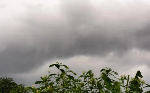 Dark Rain Clouds before thunderstorm. Grey Storm Clouds Before Rain. Stock Photos