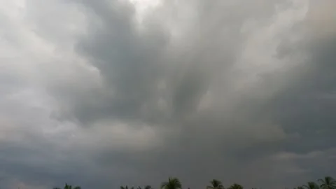 Dark rain storm cloud over coconut palm tree leaf with rain water drops Stock Footage 149185886