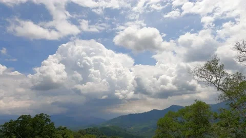 Dark rain storm cloud over mountain n green tree forest Stock Footage 154675383