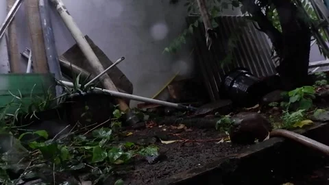 A dark rainy backyard background video stock footage Stock Footage 326626289