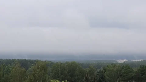 Dark Rainy Cloud and Rising Steam Over Forest Timelapse Stock Footage 279407609
