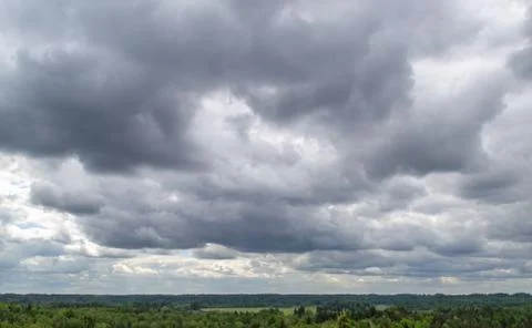 Dark rainy clouds and pine forest. Top view Stock Photos