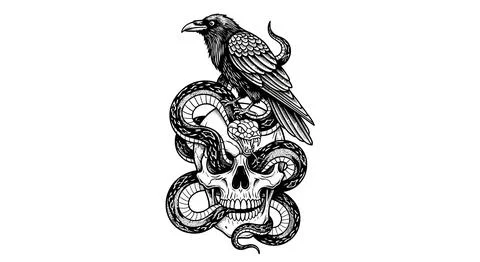 Dark Raven perched on coiled snake around a skull, illustration, gothic tat.. Stock Illustration