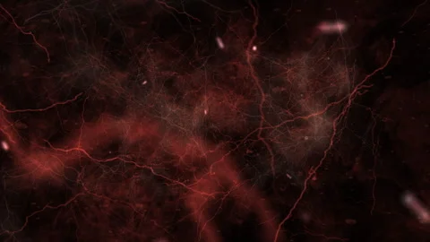 Dark Red Abstract Neural Network Vein Like With Bacteria Видео 332242414