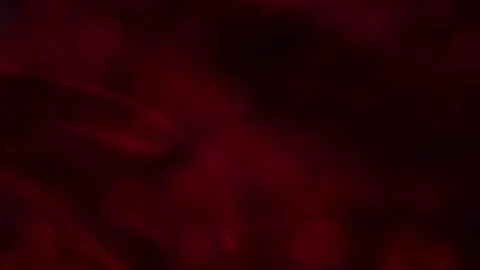 Dark Red Abstract Smoke Clouds Motion Background Loop Video stock 341600397