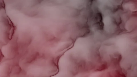 Dark Red and Black Fluid Smoke Texture Abstract Background for Design Stock Footage 310923127