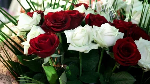 Dark red and white roses in a large bouquet Stock Footage 103126966