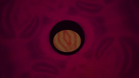 Dark red background with circular wooden object. Stock Footage 337458398