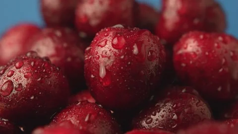Dark red cherries on a blue background Stock Footage 135578024