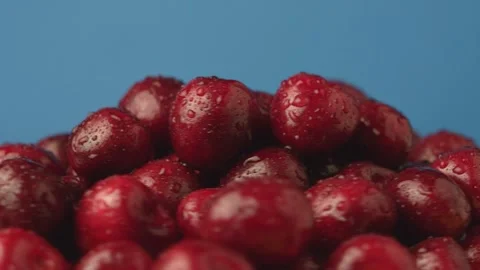 Dark red cherries on a rotating plate Vidéo 135577649