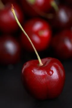Dark Red Cherry Photos