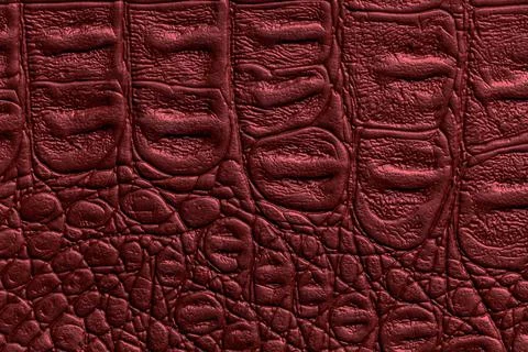 Dark red leather texture background, closeup. Wine reptile skin fabric, macro Stock Photos