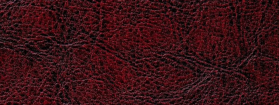 Dark red leather texture background with embossed grain pattern. Macro wine.. 写真素材