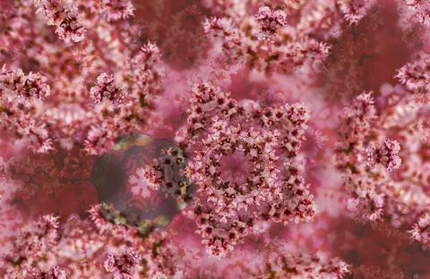 Dark red mandala pattern with tiny flowers arranged into polygons 写真素材