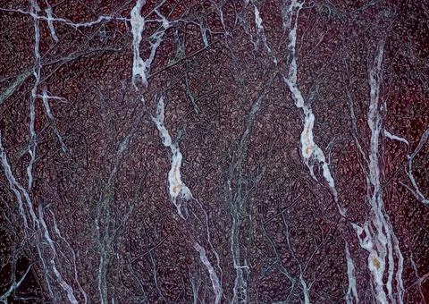 Dark red marble stone surface with white veins forming a natural pattern 写真素材