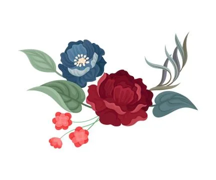 Dark red rose and large blue flower. Vector illustration on a white background. Stock Illustration