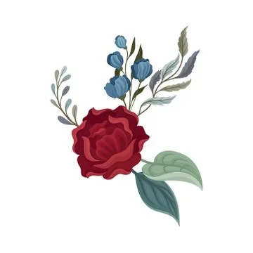 Dark red rose with leaves. Vector illustration on a white background. 스톡 일러스트
