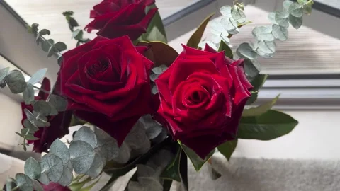 Dark red rose in a vase on a grey floor matt nearby window and wooden patio deck Stock Footage 310879266
