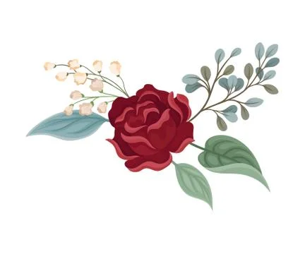 Dark red rose. Vector illustration on a white background. イラスト素材