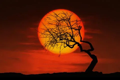 Dark red sky with dead tree Stock Photos