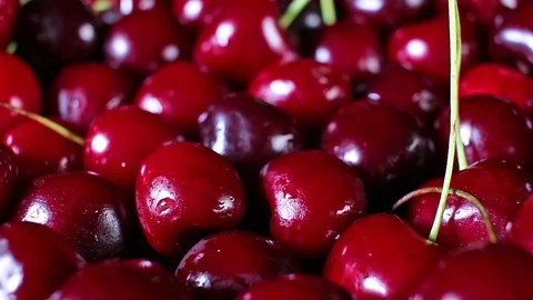 Dark red sweet cherry cherries summer fruit Stock Footage 97246761