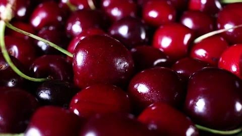 Dark red sweet cherry cherries summer fruit Video stock 97246916