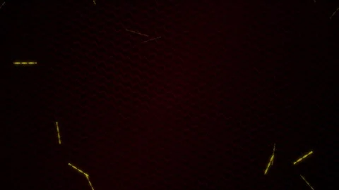 Dark Red Textured Background - Abstract Geometric Pattern 動画素材 346660407