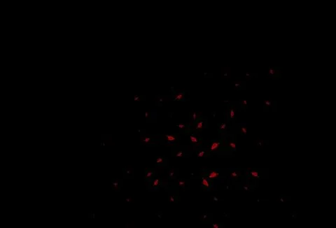 Dark Red vector hand painted pattern. イラスト素材