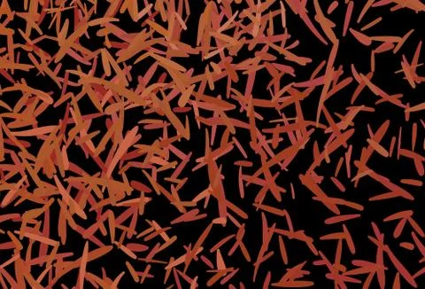 Dark Red vector layout with flat lines. Illustrazione stock