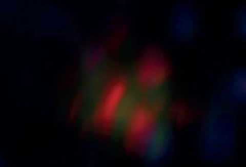 Dark Red vector modern elegant layout. Stock Illustration