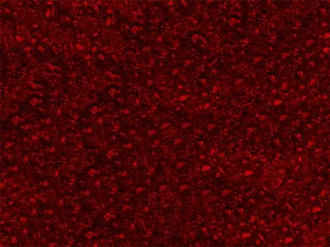 Dark red vector natural grunge background with concrete wall Illustration