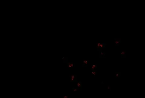 Dark red vector pattern with gender elements. Illustrazione stock