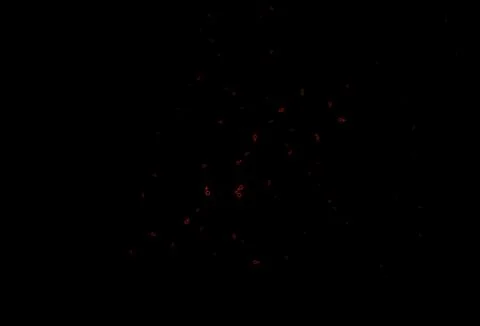 Dark red vector pattern with gender elements. Stockillustratie