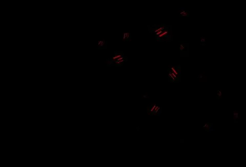 Dark red vector pattern with narrow lines. Stock Illustration