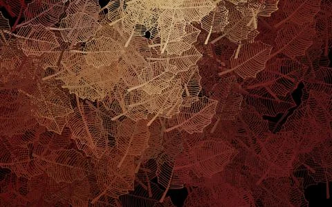 Dark Red, Yellow vector elegant background with leaves. Stock Illustration