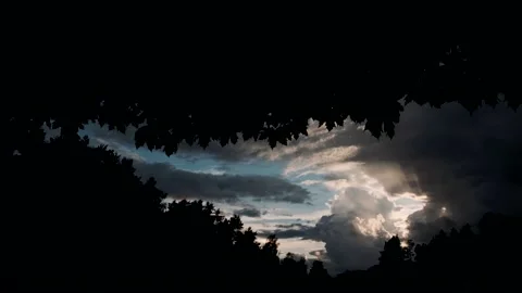 Dark reflection of trees on water Stock Footage 137802335