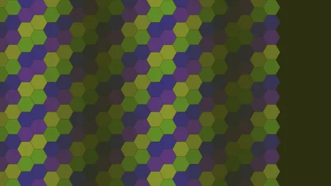 Dark Rich hexagon geometric pattern background sweeping loop Stock Footage 342644289