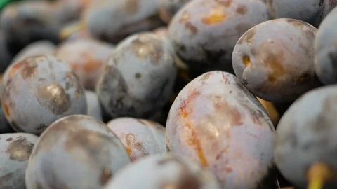 Dark ripe plum background. Slow motion Stock-Footage 143854788