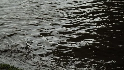 Dark ripples and waves on a muddy water surface outdoors. Stock Footage 338365024