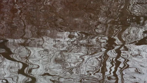 Dark rippling water surface reflecting bare winter tree branches in stream 動画素材 331006710