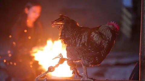 Dark ritual at night. Vidéo 81908423