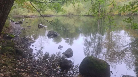 Dark River Channel Surrounded By Trees With Large Rock On Bank Stock Footage 348063202