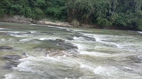 Dark river clear flow through the rocks Stock Footage 195976234