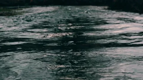 Dark River Flowing At Night Slow Motion Stock Footage 234209064