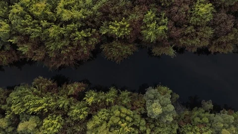 Dark River flowing through autumn colorful forest. Drone flying over forest and 库存影片 122056979