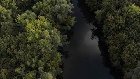 Dark River flowing through autumn colorful forest. Drone flying over forest and Stock Footage 122057046
