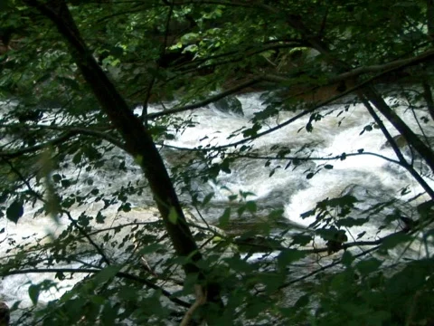 Dark River Video stock 489814