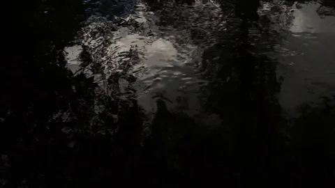 Dark River 動画素材 72334072