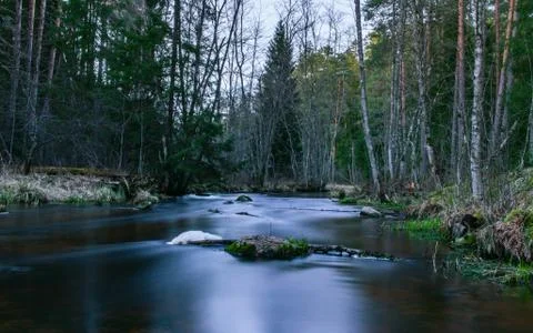 Dark river in green forest Stock Photos