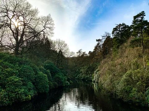 Dark river in valley Stock Photos